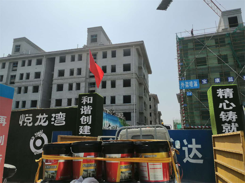 金牌谜底查询